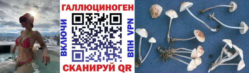 Псилоцибиновые грибы мухоморы Гагарин