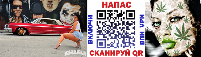 Бошки марихуана VHQ Купить Гагарин